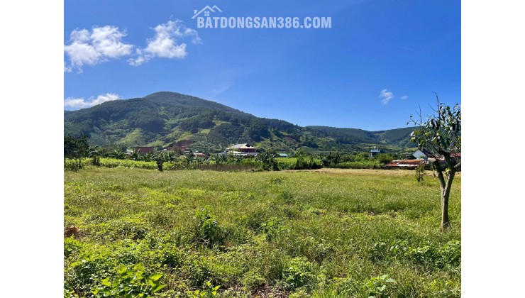 Cần Bán Đất Đông Thanh 397m², 200m² Đất Ở, Ô Tô Tận Đất, View Đồi Núi
